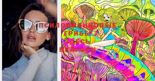 МДПВ Алзамай