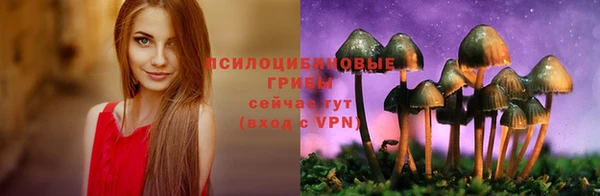МДПВ Алзамай