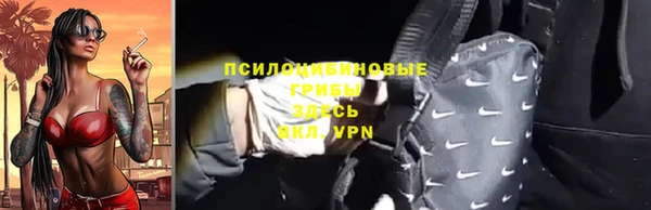 МДПВ Алзамай