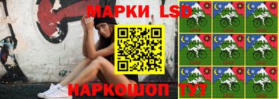 крисы Абакан
