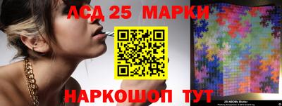 крисы Абакан