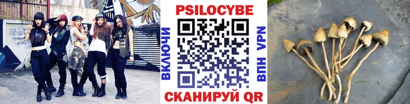 Галлюциногенные грибы Cubensis  Амурск 
