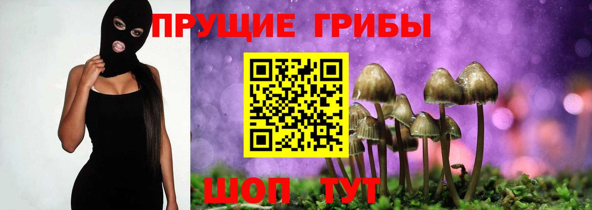 где продают наркотики  Вход с VPN  Амурск  Галлюциногенные грибы Psilocybine cubensis 
